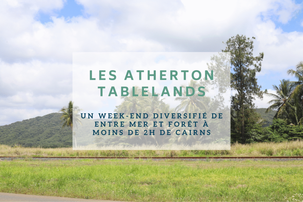 Image mise en avant pour l'article un week-end dans les Atherton Tablelands