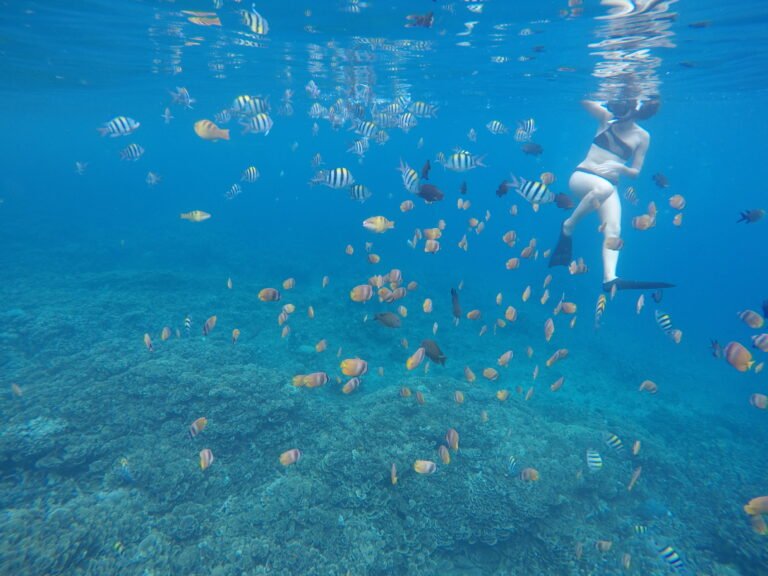 Nager a Amed avec les poissons comme dans un aquarium