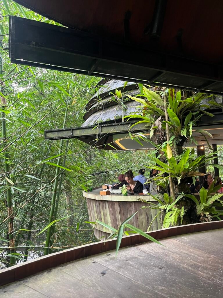 Architecture incroyable pour ce cafe avec vue sur la jungle Ă  travers une fente, parfait pour un cafe