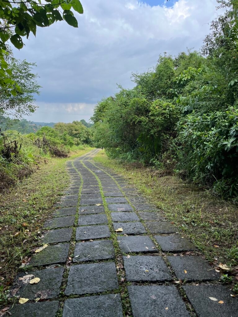 Jolie promenade dans le coeur d'Ubud pour prendre le vert