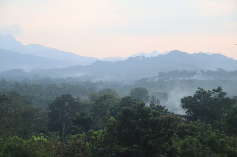 Vue sur les environs du temple de Borobudur à Java au coucher de soleil