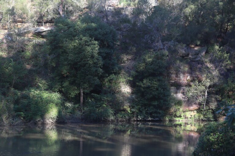 Lane Cove National Park reflets dans la rivière