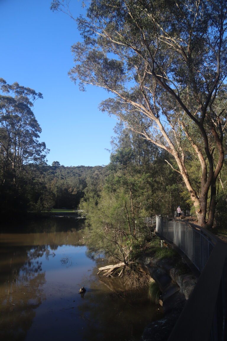 Lane Cove National Park par une jolie fin de journée d'hiver