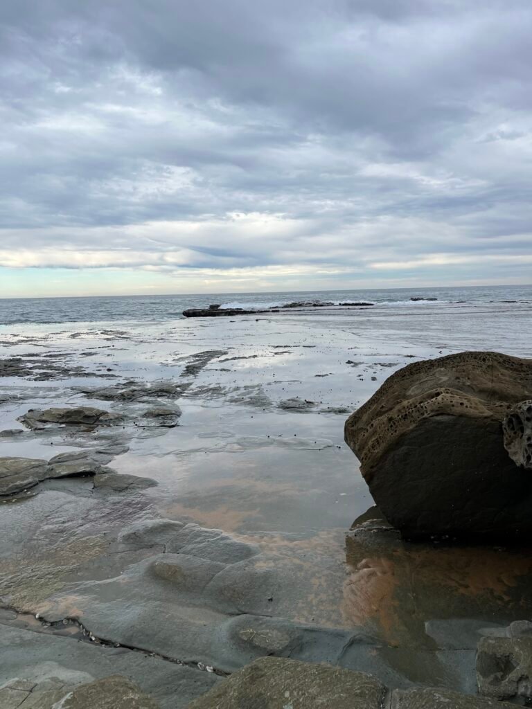 L'océan vu du Royal National Park, NSW