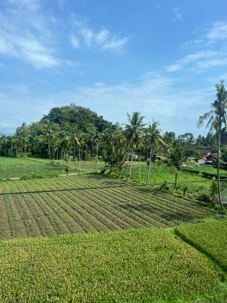 Vue du train à Java