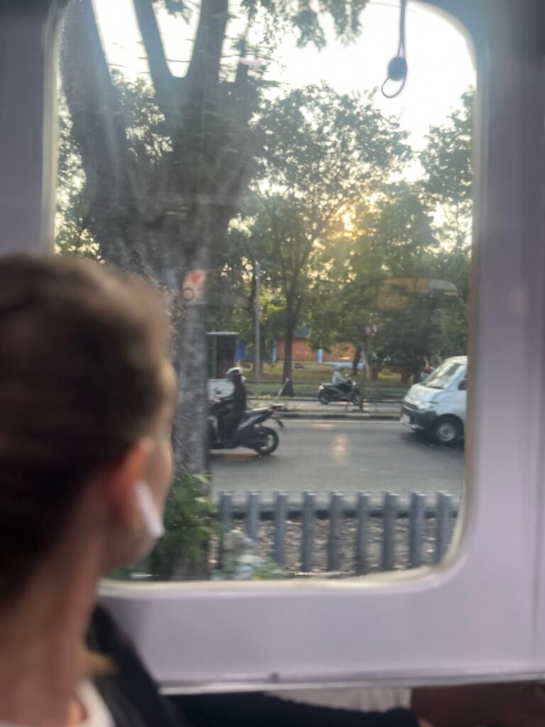 Regarder le paysage défiler dans le train à Java