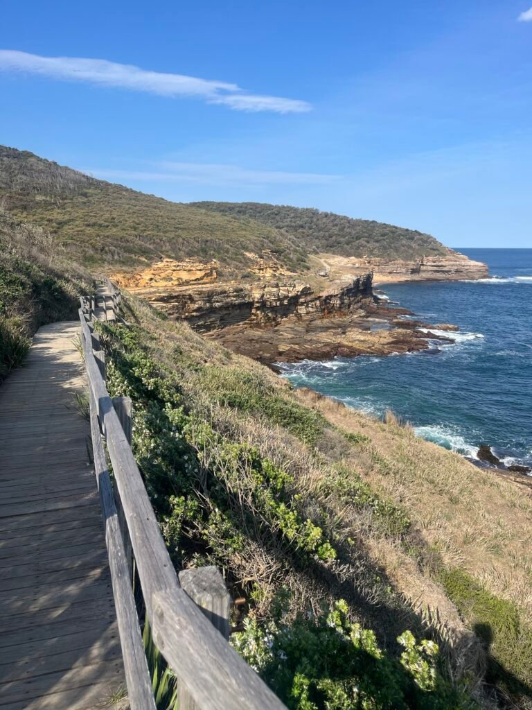 Bouddi National Park Coastal Walk
